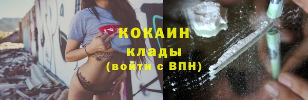 шишки Ладушкин