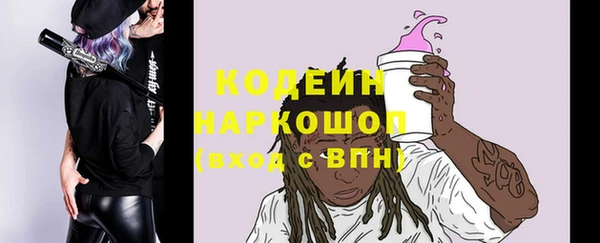 мдпв Каменка
