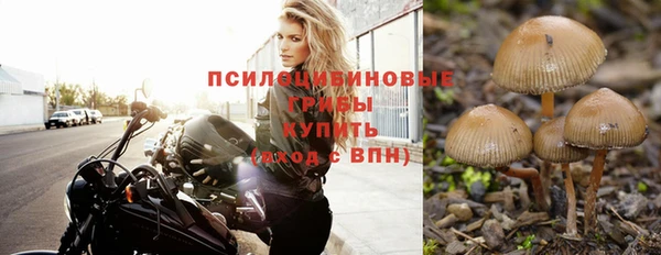 МДПВ Абинск