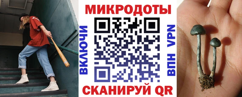 Галлюциногенные грибы мицелий  Киселёвск 